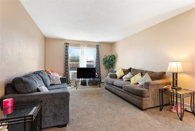 4310 Loomis Ave, Colorado Springs, CO 80906 - living area featuring a baseboard radiator, a textured ceiling, carpet flooring, and a textured wall