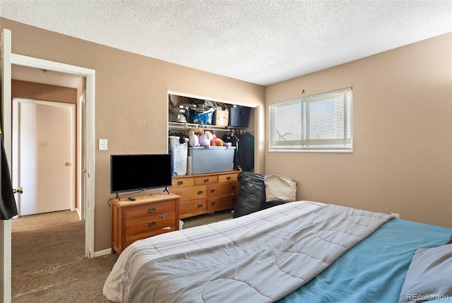 4310 Loomis Ave, Colorado Springs, CO 80906 - bedroom with carpet floors, a textured ceiling, baseboards, and a textured wall