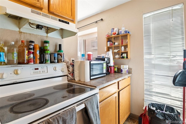 4310 Loomis Ave, Colorado Springs, CO 80906 - kitchen with white electric range oven, under cabinet range hood, and ceiling fan
