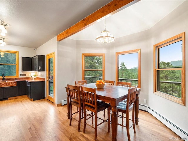 28465 Cragmont Dr, Evergreen, CO 80439 - dining space with a baseboard heating unit, a chandelier, and light wood-style flooring