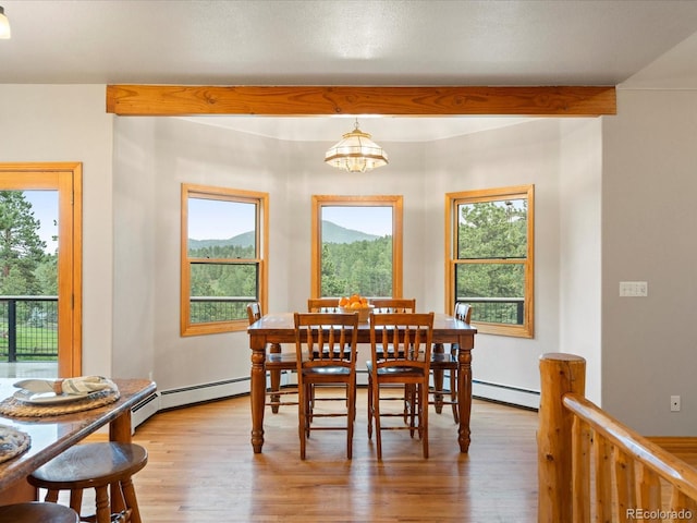28465 Cragmont Dr, Evergreen, CO 80439 - dining space with light wood-style floors, a mountain view, healthy amount of natural light, and baseboard heating