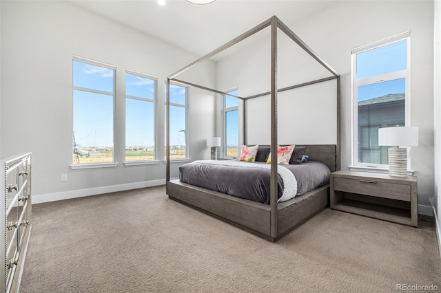 bedroom featuring carpet flooring