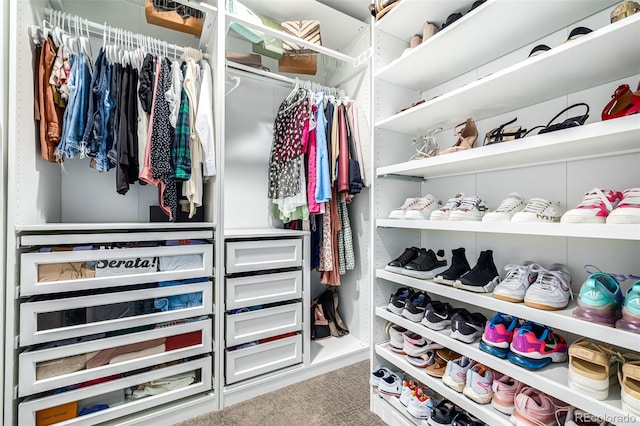 spacious closet featuring carpet floors