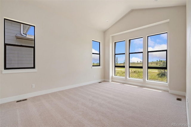 1653 Flourish Dr, Windsor, CO 80550 - photo 7