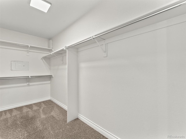 2821 Fulton St, Denver, CO 80238 - walk in closet with carpet floors