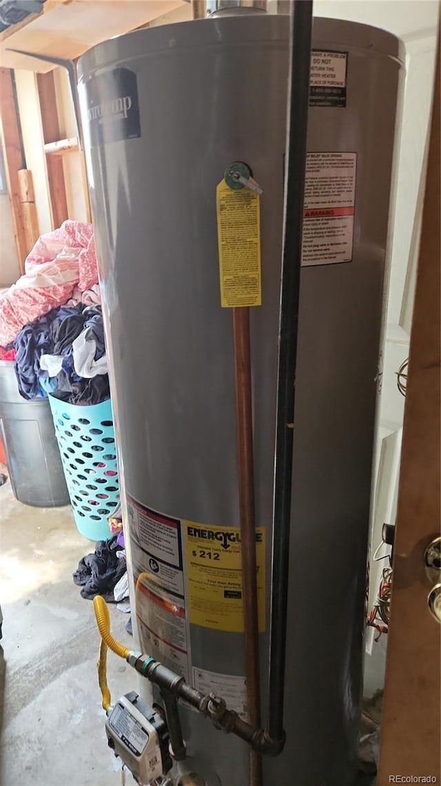 utility room with gas water heater