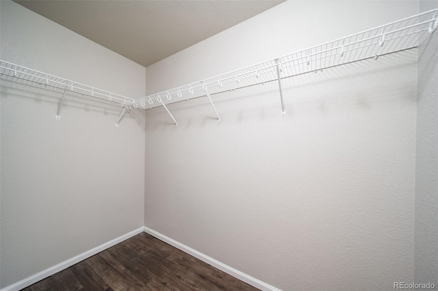 walk in closet featuring wood-type flooring