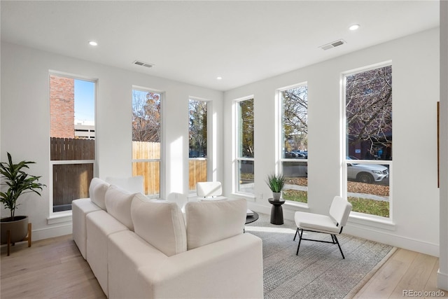 living room with light hardwood / wood-style floors and a wealth of natural light