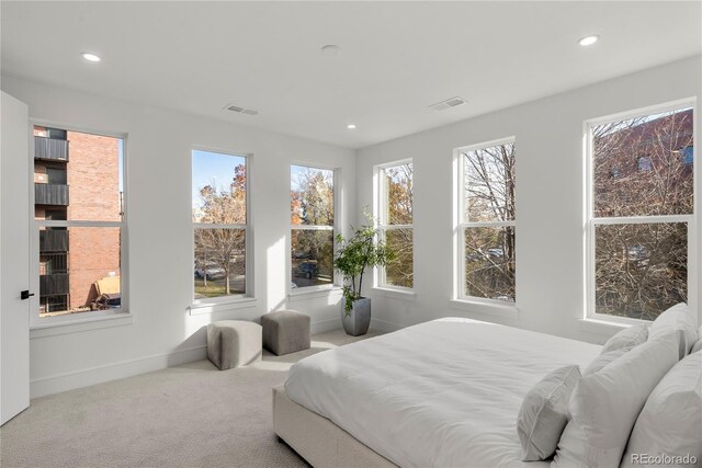 bedroom with carpet flooring