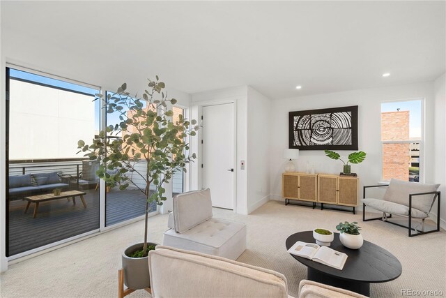 view of carpeted living room