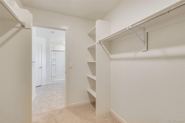 walk in closet featuring light colored carpet