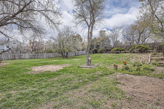 view of yard with a fenced backyard