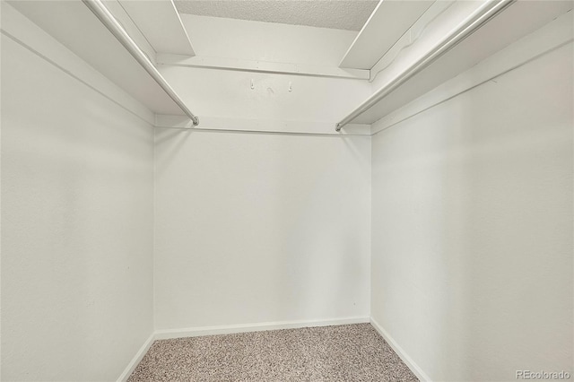 5275 Cody St, Arvada, CO 80002 - spacious closet featuring carpet