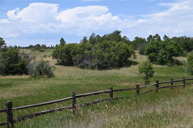 1579 Deerpath Rd, Franktown, CO 80116 - photo 10
