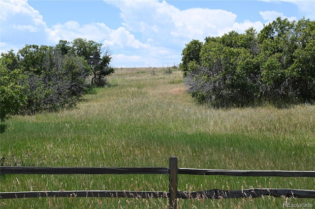 1579 Deerpath Rd, Franktown, CO 80116 - photo 13