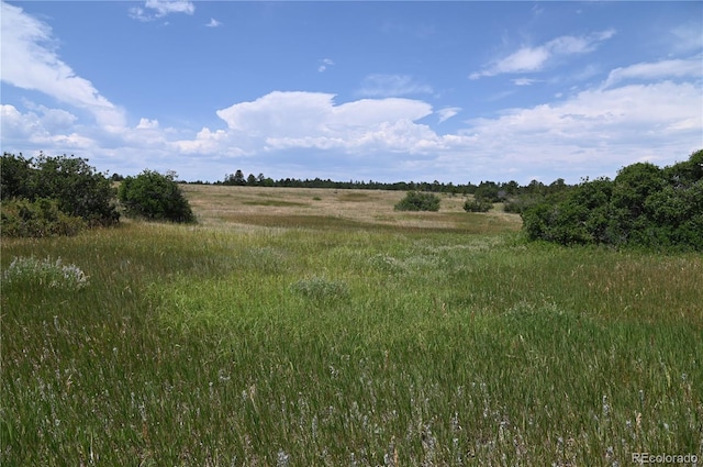 1579 Deerpath Rd, Franktown, CO 80116 - photo 14