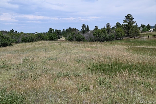 1579 Deerpath Rd, Franktown, CO 80116 - photo 17
