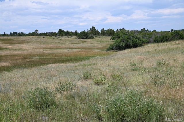 1579 Deerpath Rd, Franktown, CO 80116 - photo 18