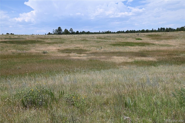 1579 Deerpath Rd, Franktown, CO 80116 - photo 19
