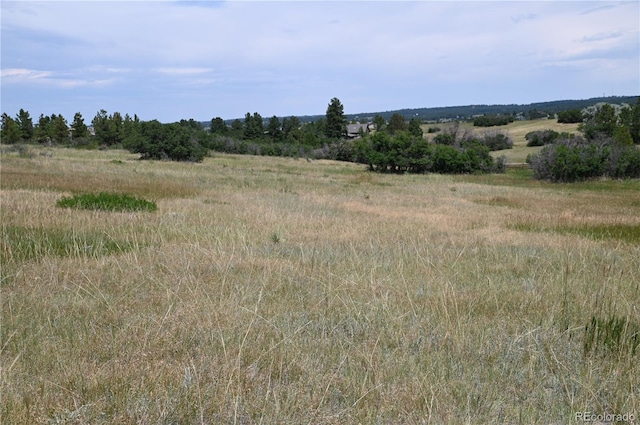 1579 Deerpath Rd, Franktown, CO 80116 - photo 25