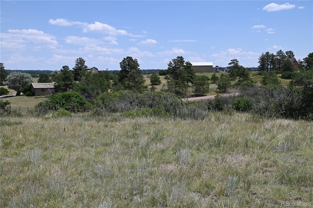 1579 Deerpath Rd, Franktown, CO 80116 - photo 28