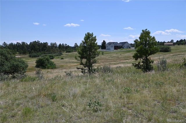 1579 Deerpath Rd, Franktown, CO 80116 - photo 30