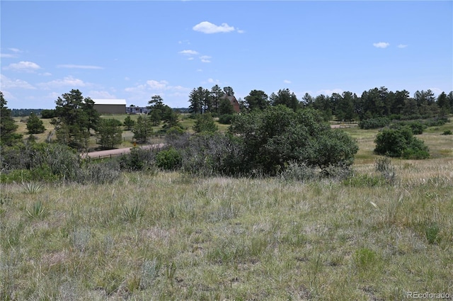 1579 Deerpath Rd, Franktown, CO 80116 - photo 31