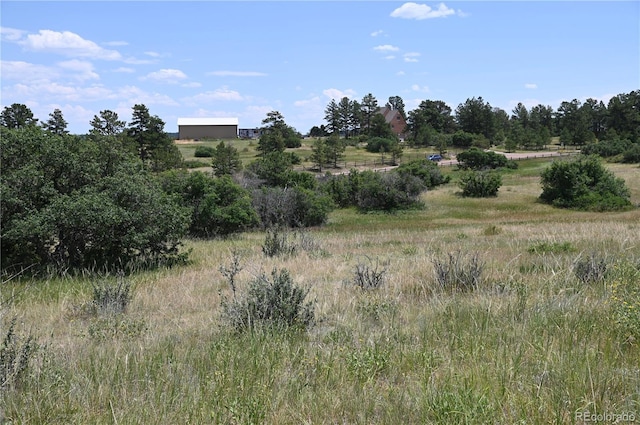 1579 Deerpath Rd, Franktown, CO 80116 - photo 32