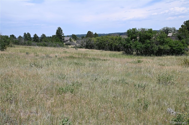 1579 Deerpath Rd, Franktown, CO 80116 - photo 36