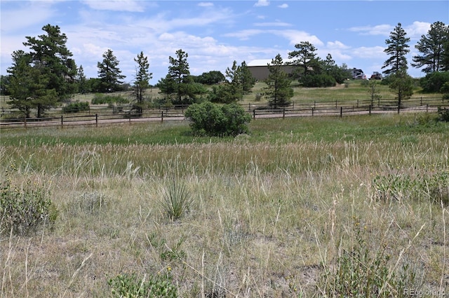 1579 Deerpath Rd, Franktown, CO 80116 - photo 38