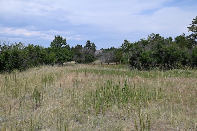 1579 Deerpath Rd, Franktown, CO 80116 - photo 39