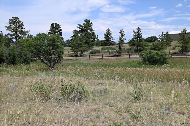 1579 Deerpath Rd, Franktown, CO 80116 - photo 40