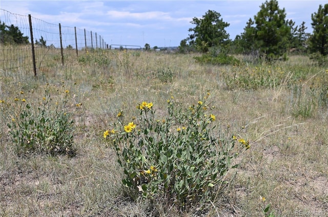1579 Deerpath Rd, Franktown, CO 80116 - photo 47