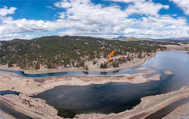 934 Midland Ct, Lake George, CO 80827 - photo 26
