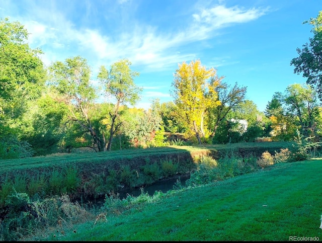 view of landscape with a forest view