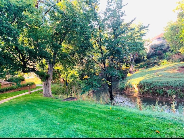 view of yard with a water view