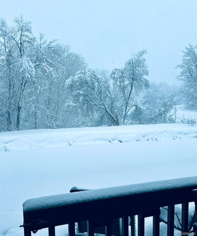 view of yard covered in snow