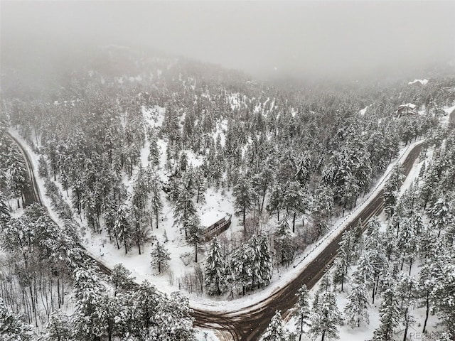 11710 Spruce Canyon Cir, Golden, CO 80403 - view of snowy aerial view