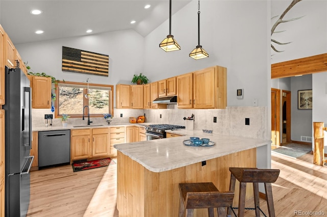 kitchen featuring stainless steel appliances, light wood-style flooring, a sink, a peninsula, and under cabinet range hood