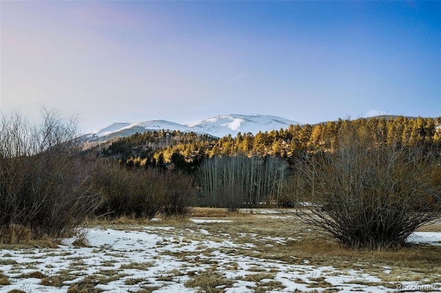 view of mountain feature featuring a forest view