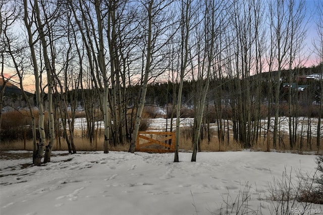 view of yard layered in snow