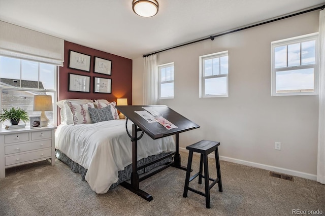 9186 Telluride Ct, Commerce City, CO 80022 - photo 19