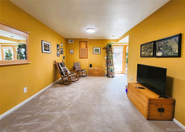 1113 Biddle St, Georgetown, CO 80444 - photo 23
