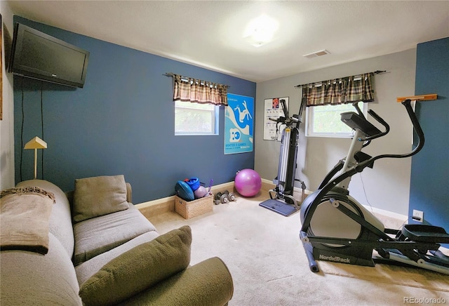 1113 Biddle St, Georgetown, CO 80444 - photo 24