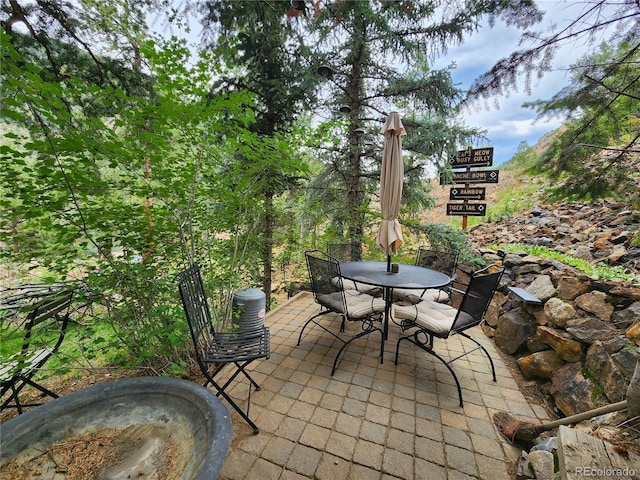 1113 Biddle St, Georgetown, CO 80444 - photo 27