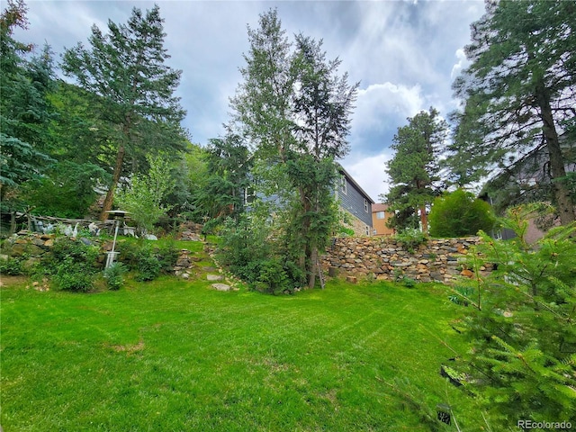 1113 Biddle St, Georgetown, CO 80444 - photo 28