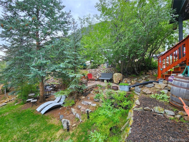 1113 Biddle St, Georgetown, CO 80444 - photo 29