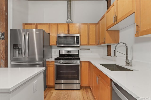 kitchen featuring sink, appliances with stainless steel finishes, and light hardwood / wood-style flooring