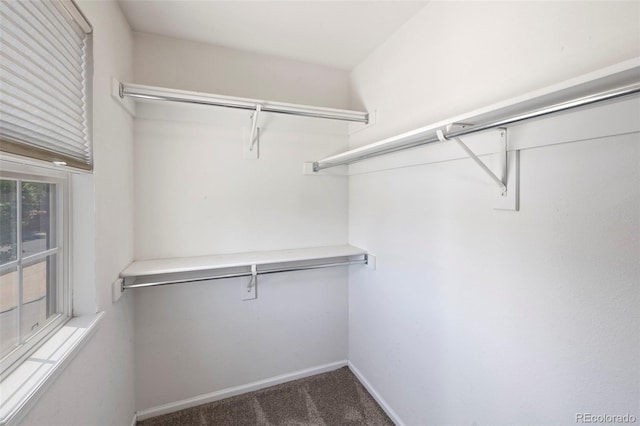 4807 S Killarney Ct, Aurora, CO 80015 - walk in closet featuring carpet flooring