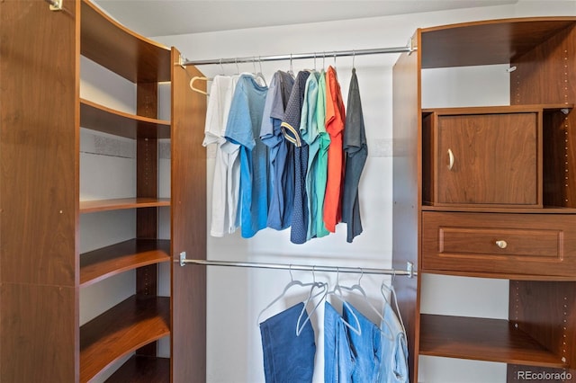 4807 S Killarney Ct, Aurora, CO 80015 - view of walk in closet